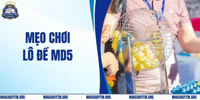 Mẹo Chơi Lô Đề MD5 – Cách Soi Cầu Chuẩn Xác & Nhanh Chóng